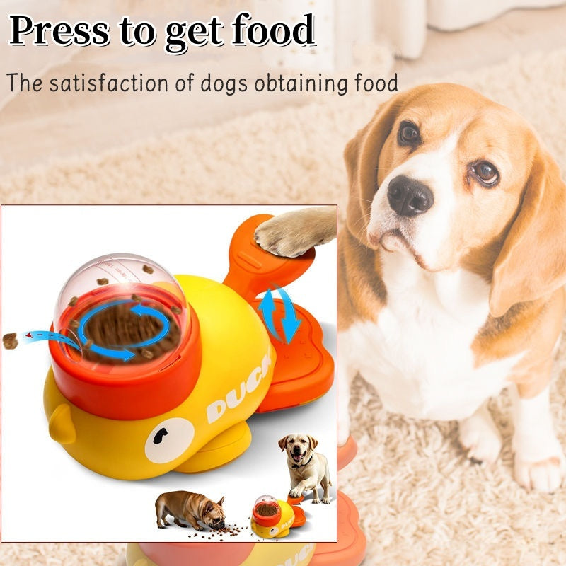 Interactive Pet Puzzle Feeder