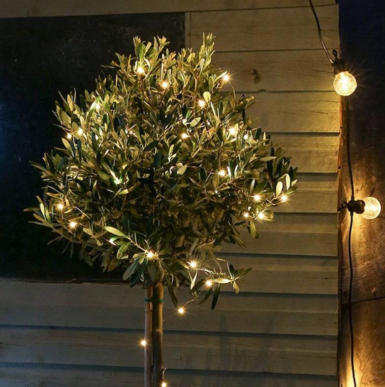 ✨☀️ Solar Powered LED String Lights – Ultra-Bright, Waterproof & Flexible Copper Wire 💡🌟