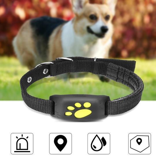 🐾📡🌟 GPS Pet Tracker - Real-Time Location & Safety 🌟📡🐾
