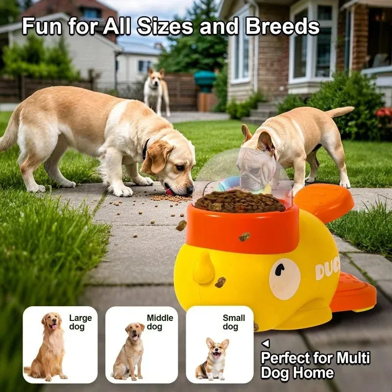 Interactive Pet Puzzle Feeder