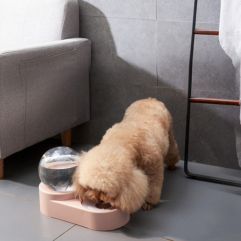 Gravity-Flow Automatic Pet Water Dispenser