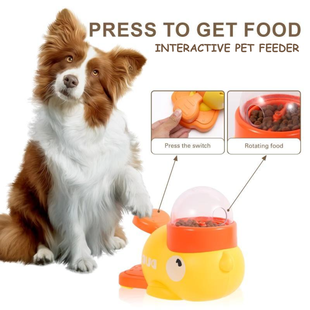 Interactive Pet Puzzle Feeder